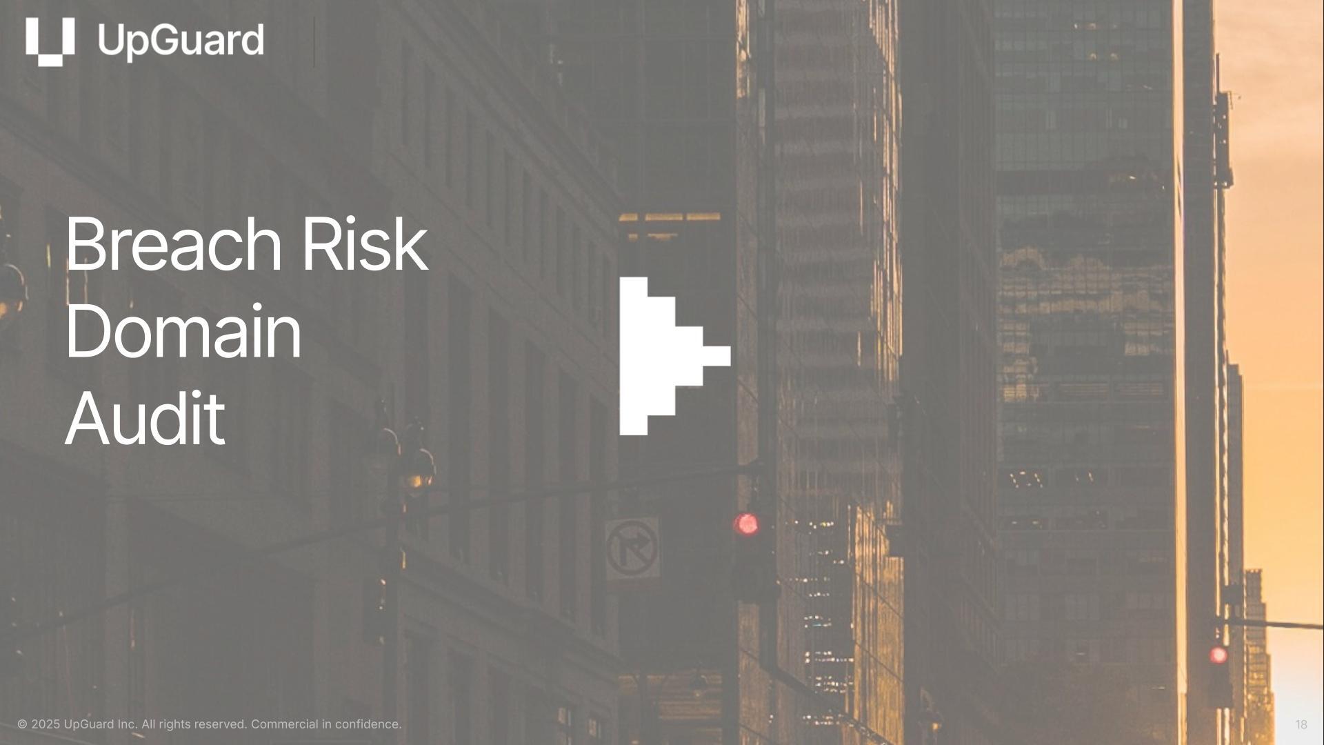 Breach Risk Domain Audit